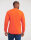 Workwear Set-In Sweatshirt Russell Athletic 0R013M0