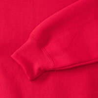 Classic Raglan Sweatshirt Russell Athletic 0R762M0