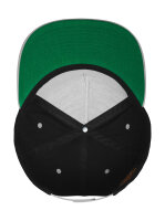 Classic 5 Panel Snapback Flexfit 6007T