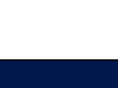 White/French Navy