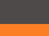 Charcoal/Neon Orange